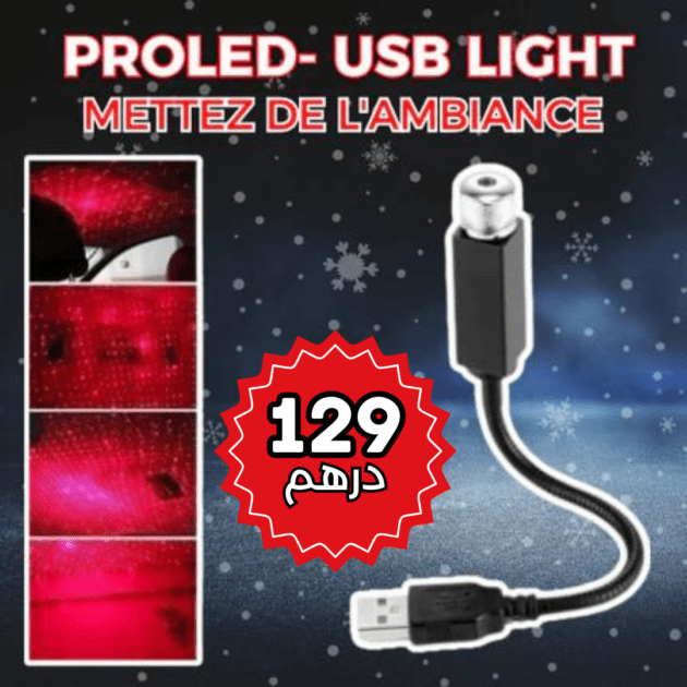 PROLED- USB Light